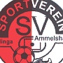 SV Klinga Ammelshain